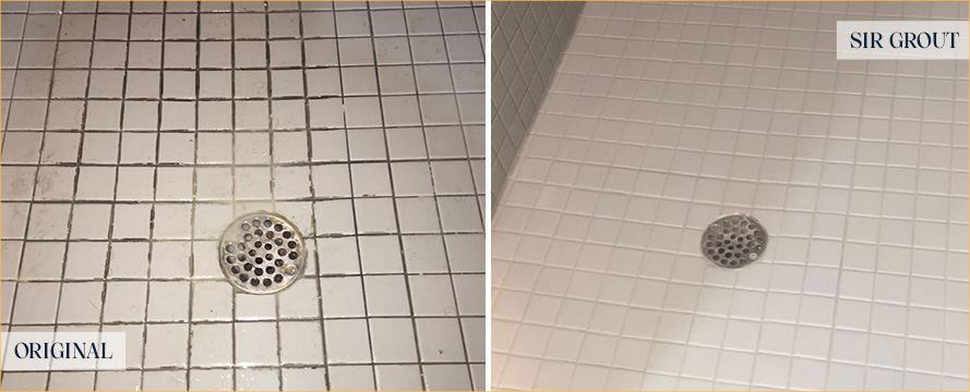 Shower Floor Before and After a Grout Cleaning in Melbourne